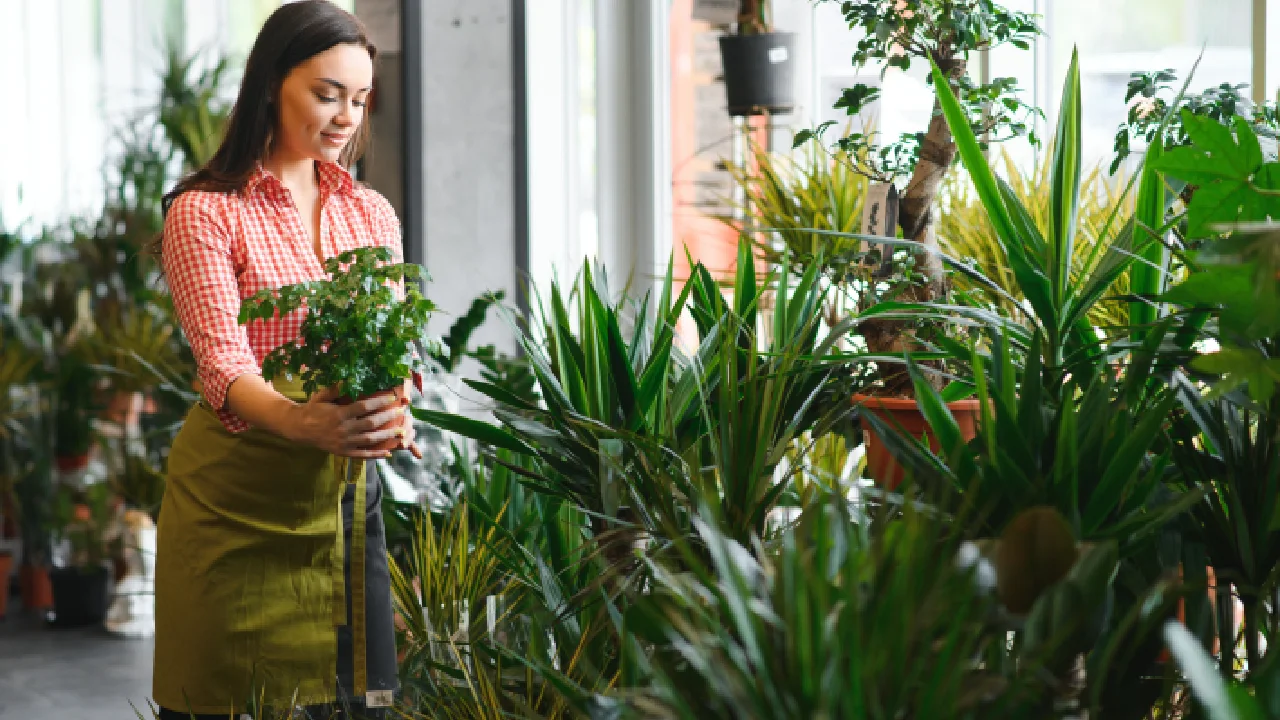 Pragas e Doenças em Plantas: Como Identificar, Prevenir e Tratar