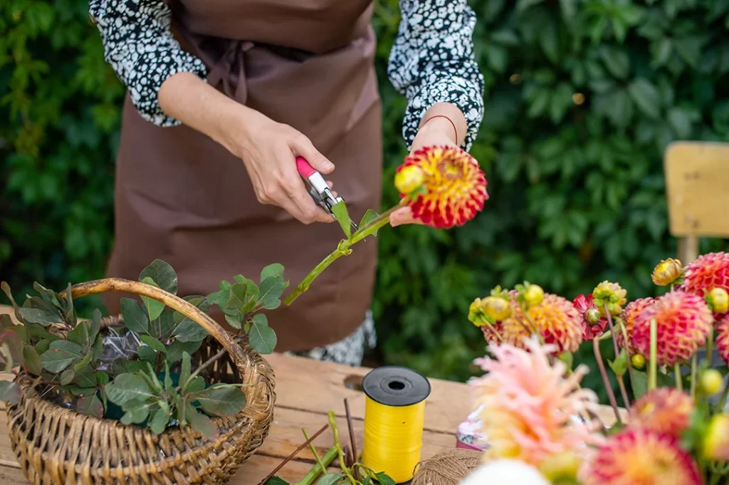 Dicas de Jardinagem para Iniciantes - Poda de plantas com tesouras