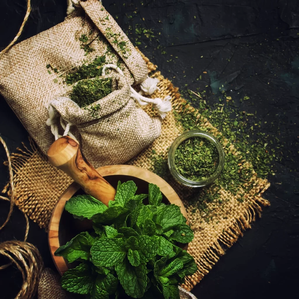 Melhores Plantas Medicinais para Cultivar em Casa - folhas de hortelã-pimenta frescas e secas