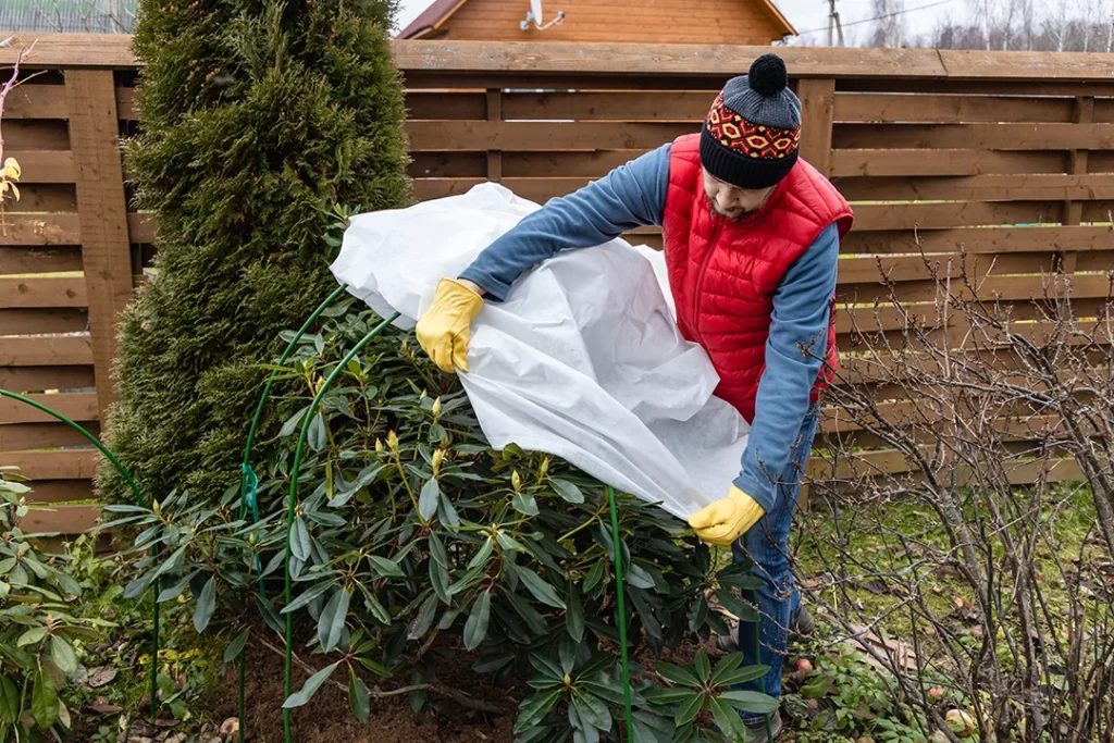 Cuidados com Plantas no Inverno - cobertura