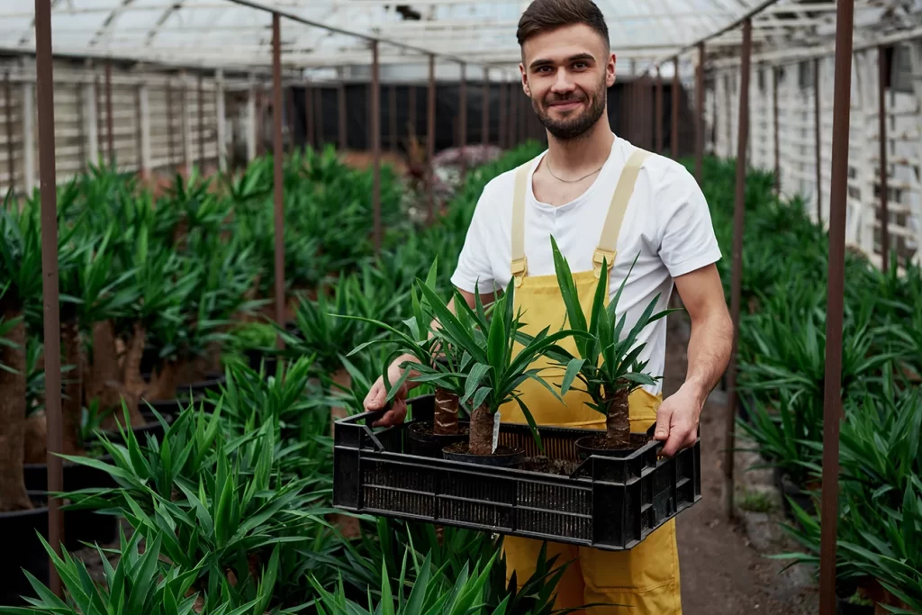 homem segurando plantas 