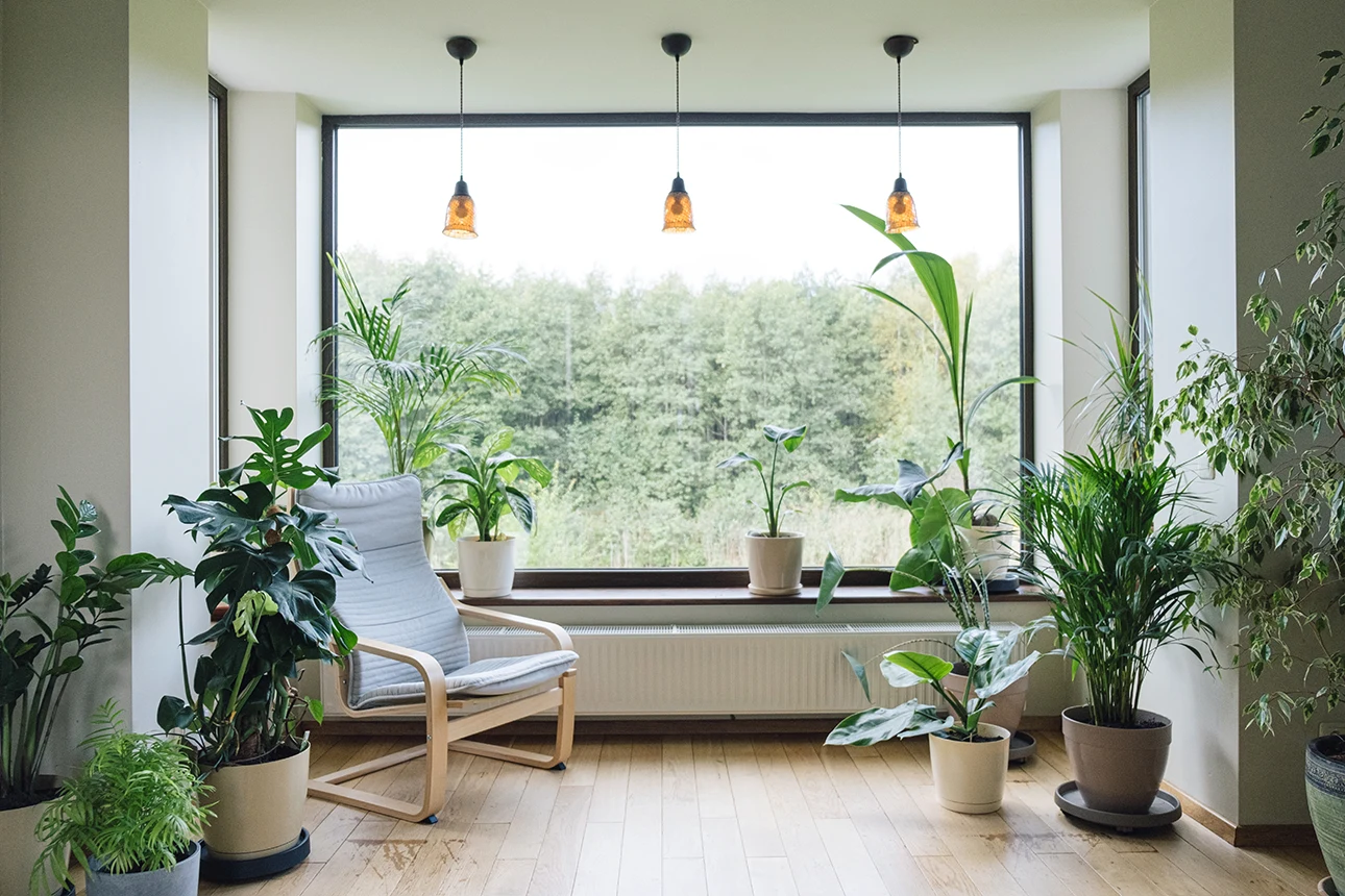 Plantas para Apartamentos: Transforme Seu Espaço Urbano em um Oásis Verde