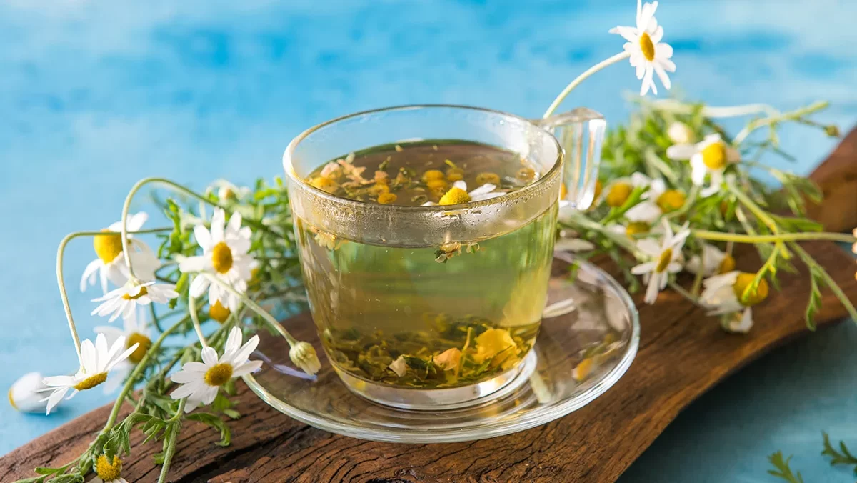 Como fazer infusões com plantas medicinais