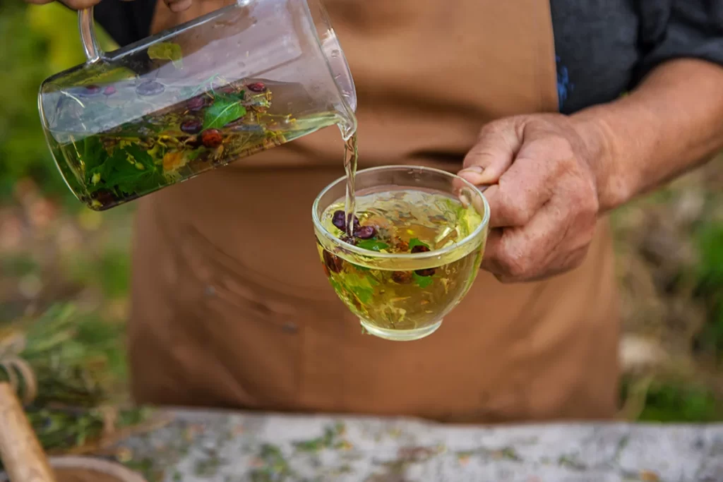 uma-senhora-idosa-prepara-cha-de-ervas-Benefícios das Plantas Medicinais 