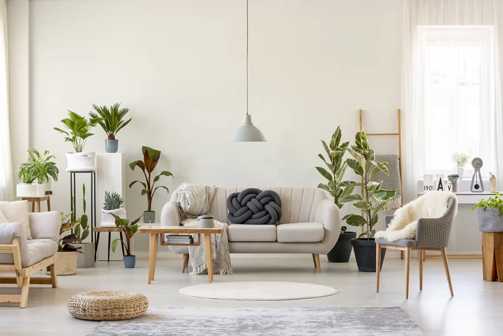plantas para ter na sala