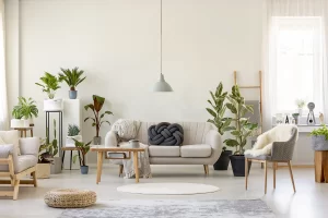 plantas para ter na sala