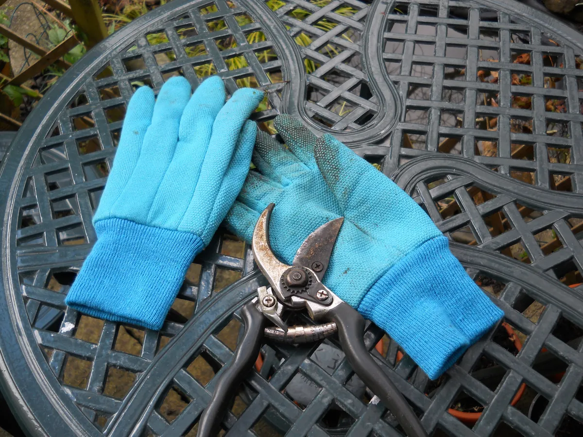 Luvas de jardinagem e tesoura de poda sobre uma mesa