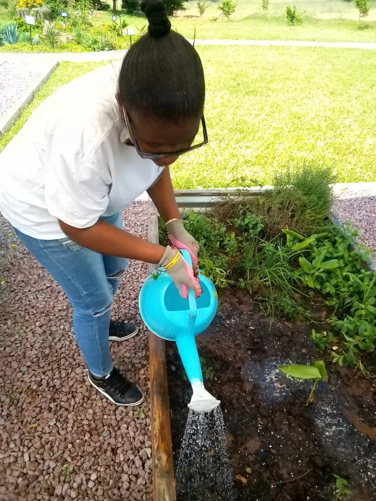 Pessoa regando plantas no jardim com regador azul