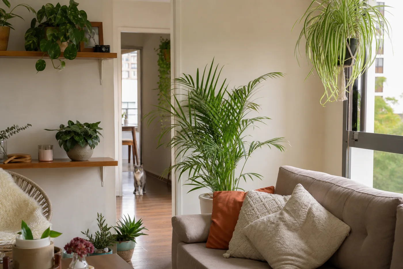 Sala de apartamento com clorofito, peperomia e palmeira-camedorea em vasos, com gato observando ao fundo